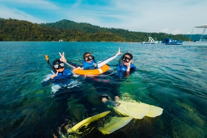 Ocean Escapade