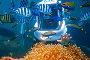 Sea World Adventure
